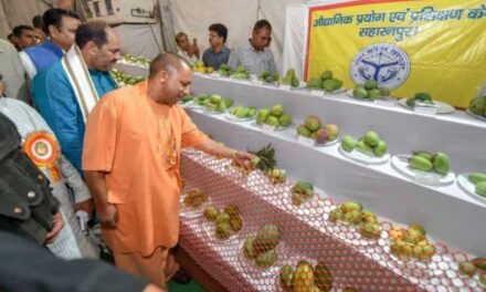 Uttar Pradesh CM Inaugurates Mango Festival.