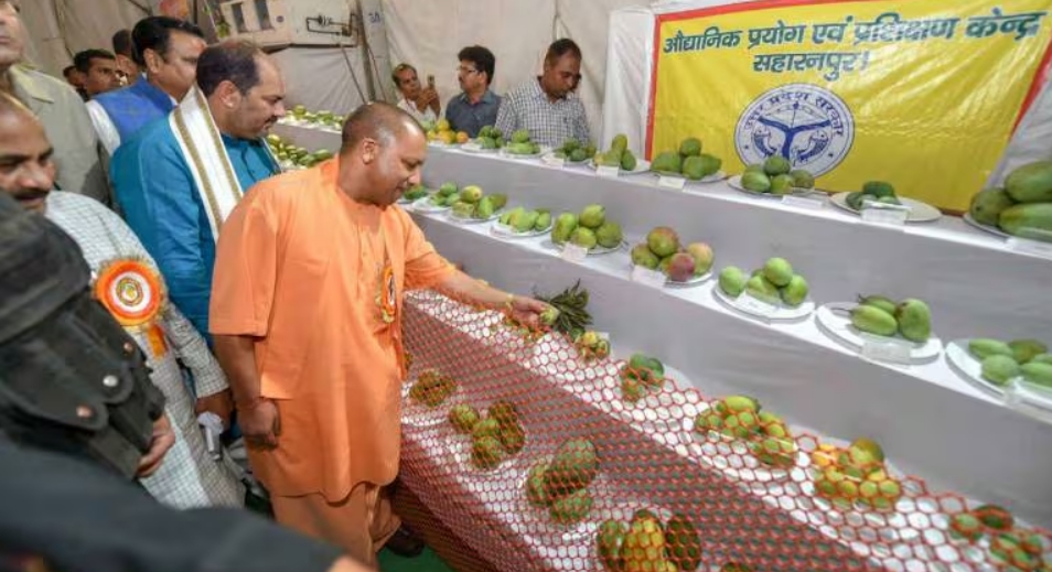 Uttar Pradesh CM Inaugurates Mango Festival.