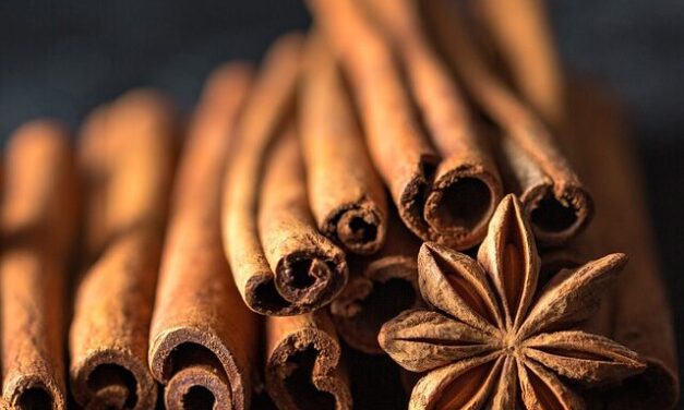 6 ways in which cinnamon water helps in weight loss