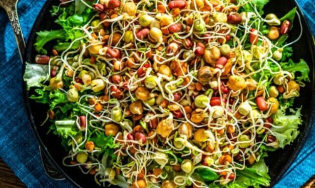 HERE’S WHY YOU SHOULD HAVE SPROUTS DAILY