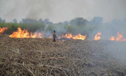 Punjab government: To provide farmers with 22,000 CRM equipment to prevent stubble burning.