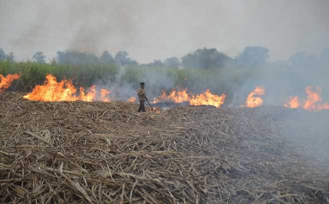 Punjab government: To provide farmers with 22,000 CRM equipment to prevent stubble burning.