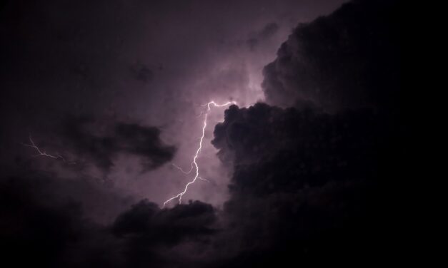 Nine people have died in Bihar from lightning strikes.