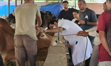 Animal Ophthalmology Camp Addresses Bovine Eye Health at Hingonia Cow Rehabilitation Centre