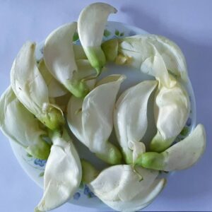 Superfood Vegetable Hummingbird (Bokful): A Nutrient-Rich Urban Garden Superfood loved by Bengali