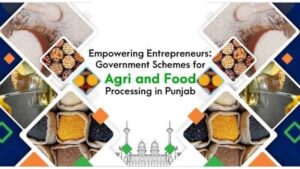 https://indiathisweek.in/mann-governments-remarkable-change-food-processing-boosts-farmers-income-and-creates-new-employment-opportunities-in-punjab/