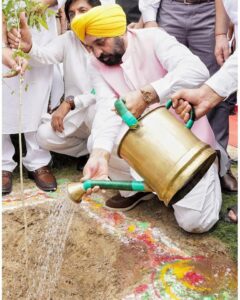 Reining in 20 years of negligence by previous governments, AAP Government expands Punjab’s tree cover by 177.22 sq km!