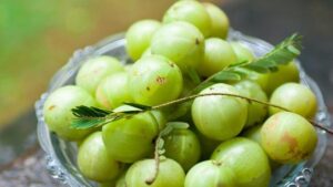 7 Winter Fruits to Boost Lung Health and Immunity This Season