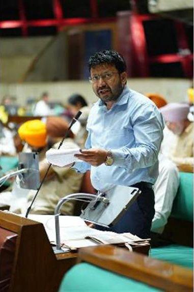 Mann Government Stands with Every Living Being: Punjab Launches Historic Campaign to Resolve Decades-Old Stray Animal Problem