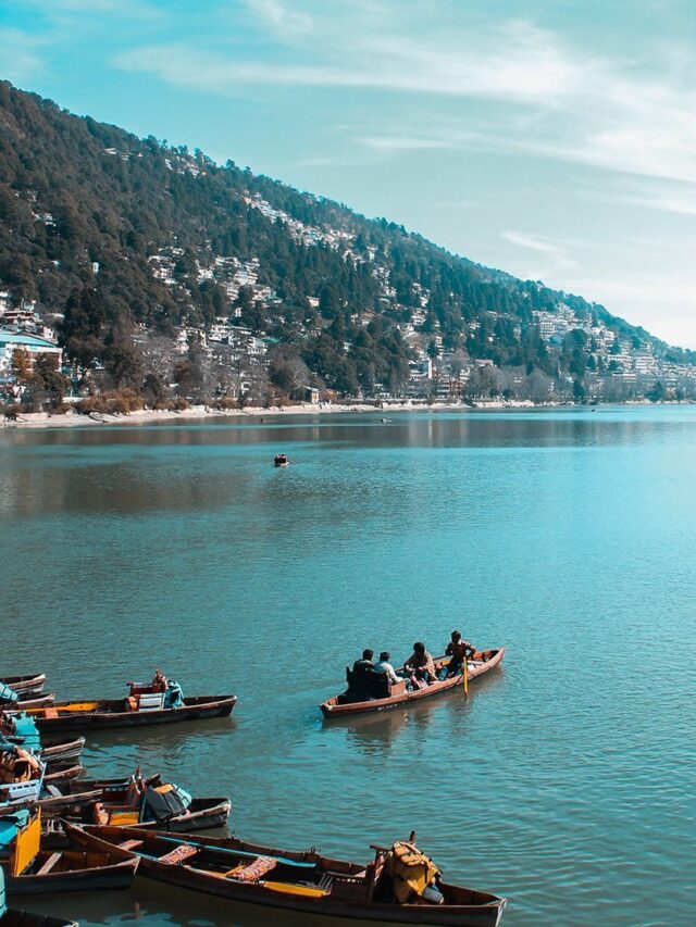 Explore North India This December: Hill Stations, Temples & Wildlife