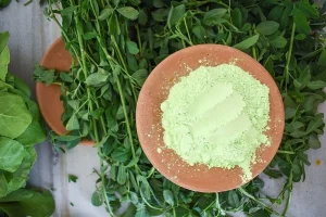 Homemade Natural Gulal for Holi: Easy Recipes for Skin-Friendly Colours